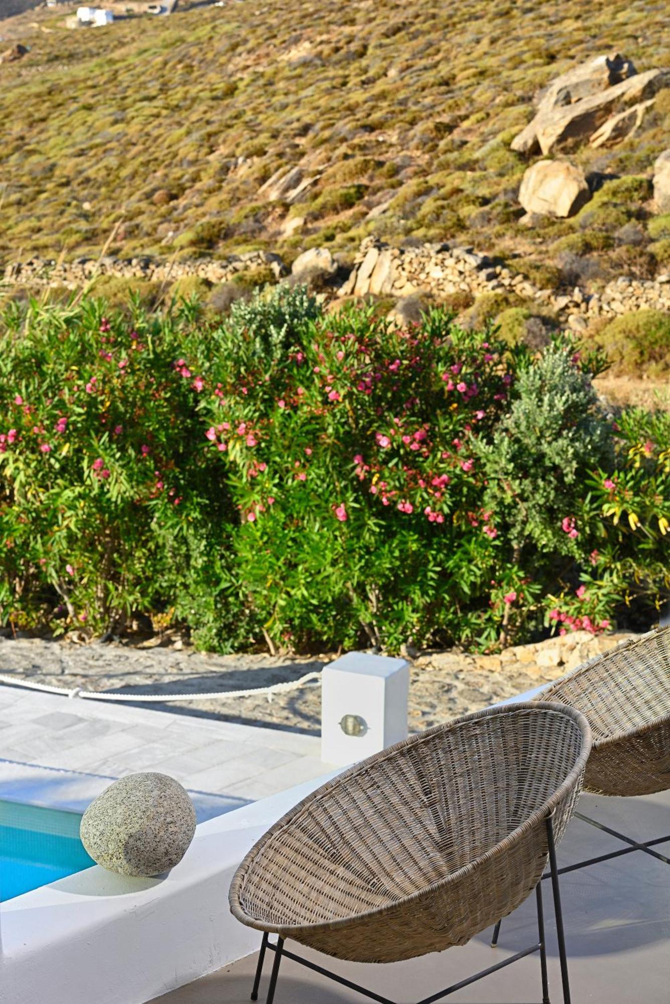Mykonos Dream Villas Ftelia  Exteriör bild